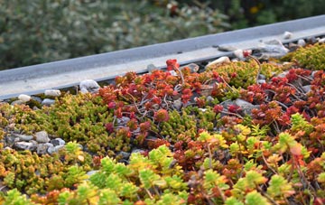 the cost of Lapford green roof installation