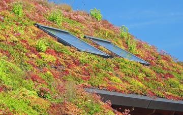 Lapford living roof systems