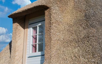 Lapford thatch roof disadvantages